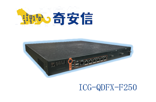 奇安信网康上网行为管理ICG-QDFX-F250